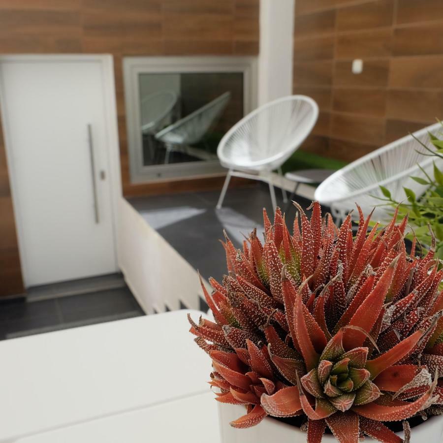 Ebli House Villa Сан Мигел де Салинас Екстериор снимка
